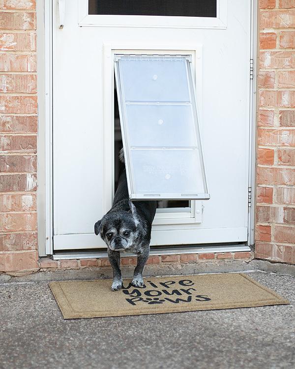 Endura Flap Pet Door For Doors - Image 14