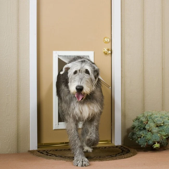 Endura Flap Pet Door For Doors - Image 21