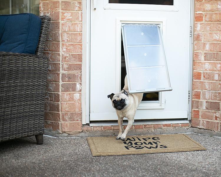 Endura Flap Pet Door For Doors - Image 30