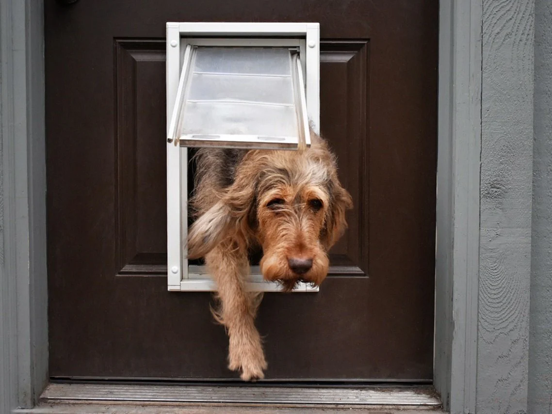 Endura Flap Pet Door For Doors - Image 6