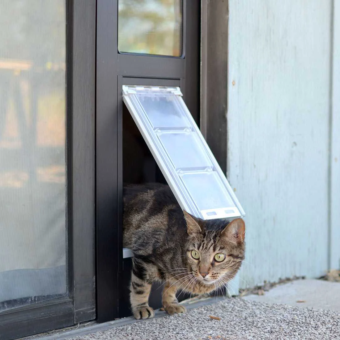 Endura Flap Cat Door for Sliding Glass Doors - Image 26