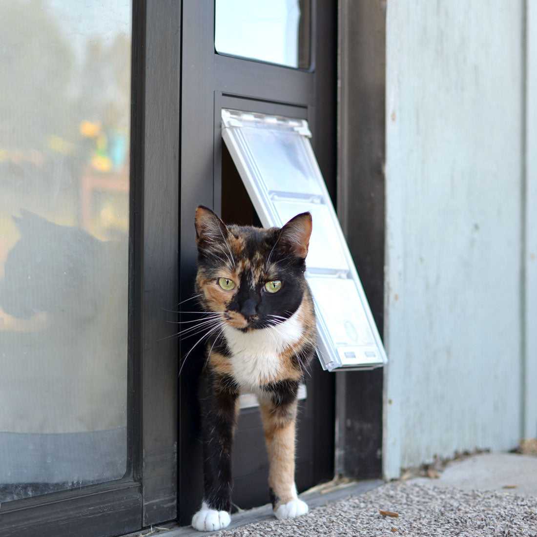 Endura Flap Cat Door for Sliding Glass Doors - Image 28