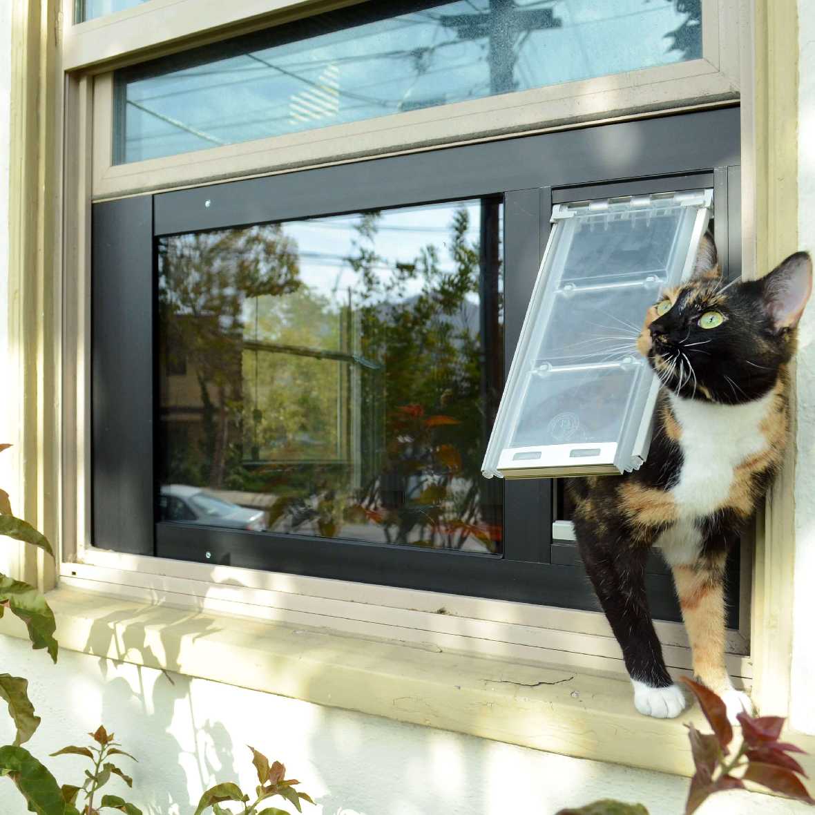 Endura Flap Custom Thermo Sash 3e Pet Doors for Sash Windows - Image 18