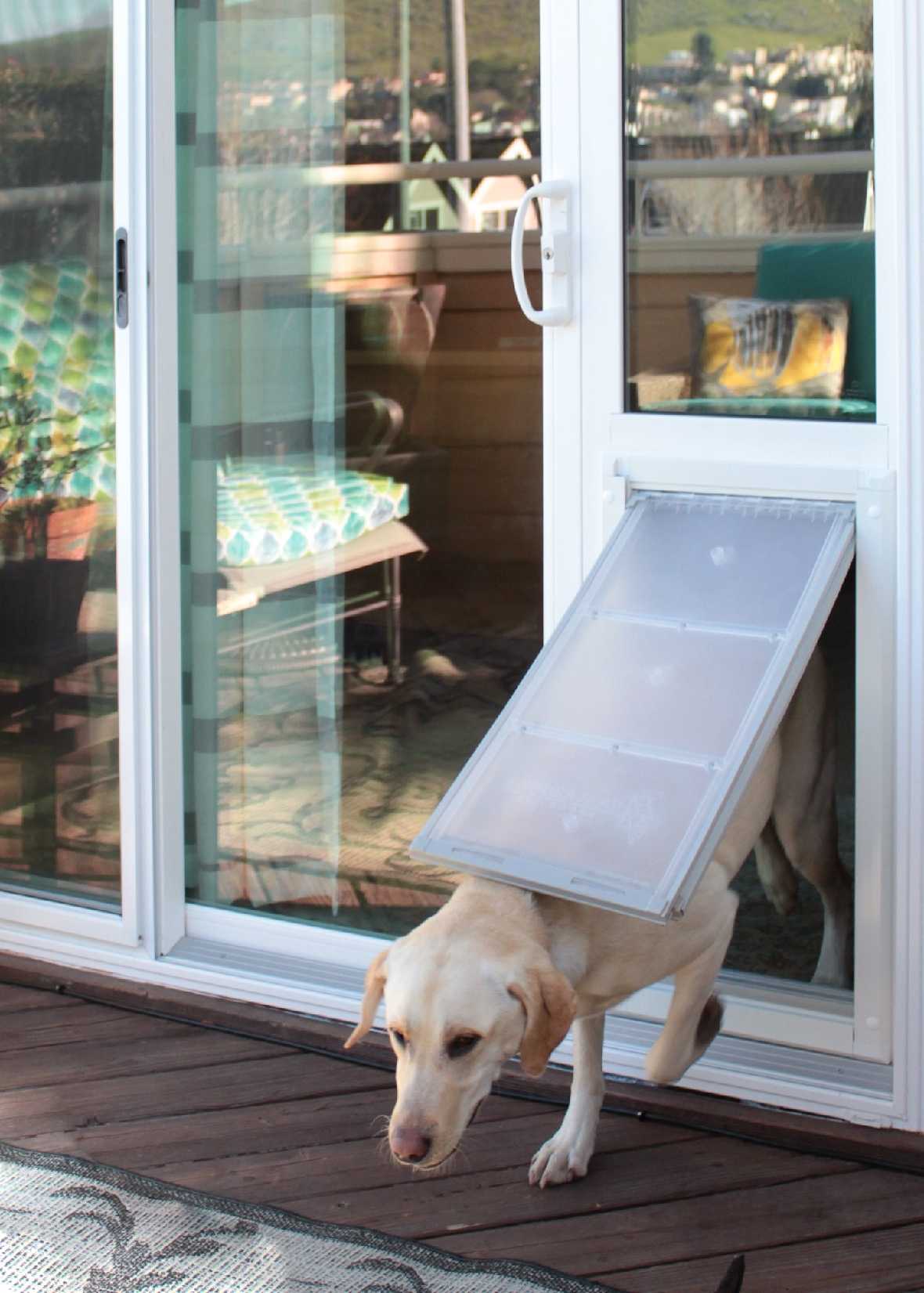 Endura Flap Custom Severe Weather Vinyl Sliding Glass Dog Door - Image 6