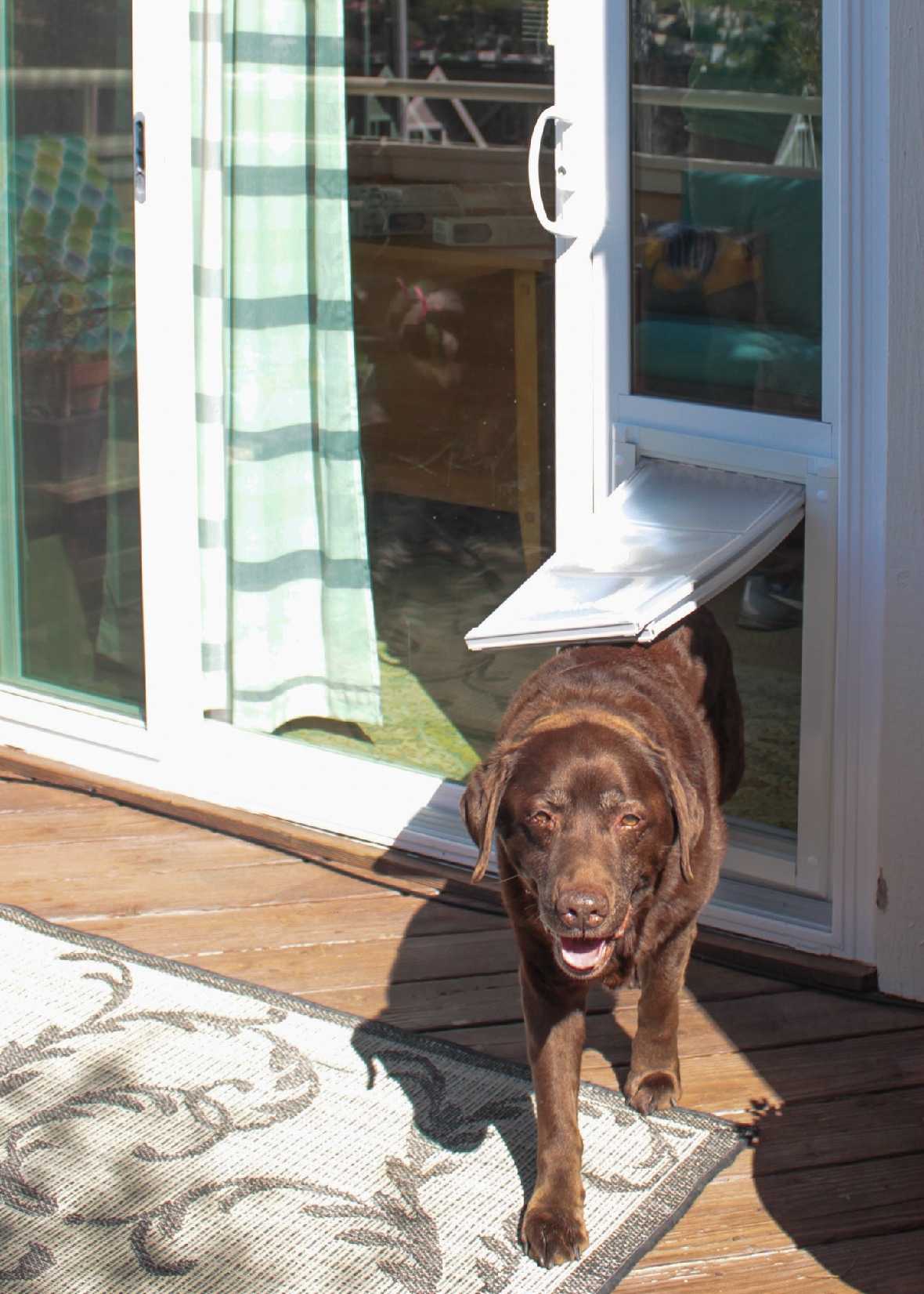 Endura Flap Custom Severe Weather Vinyl Sliding Glass Dog Door - Image 8