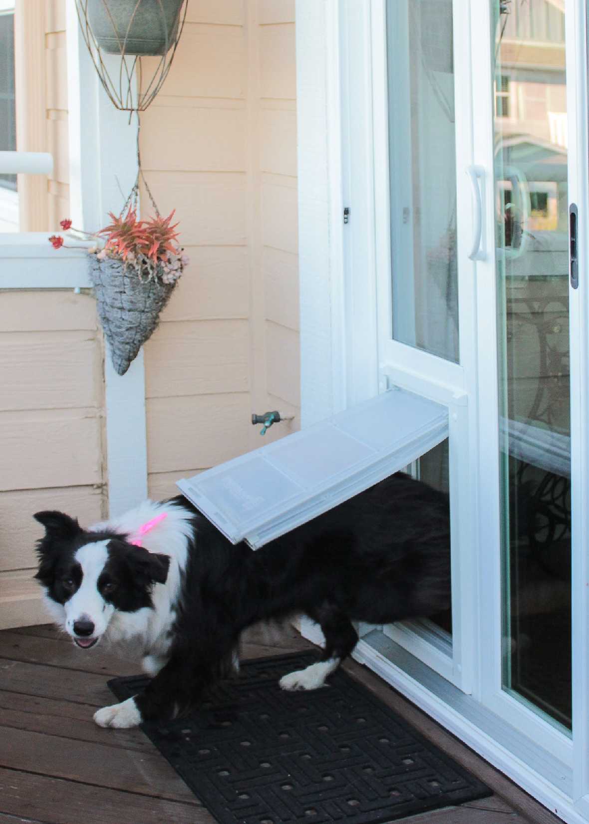 Endura Flap Severe Weather Vinyl Sliding Glass Dog Door - Image 9