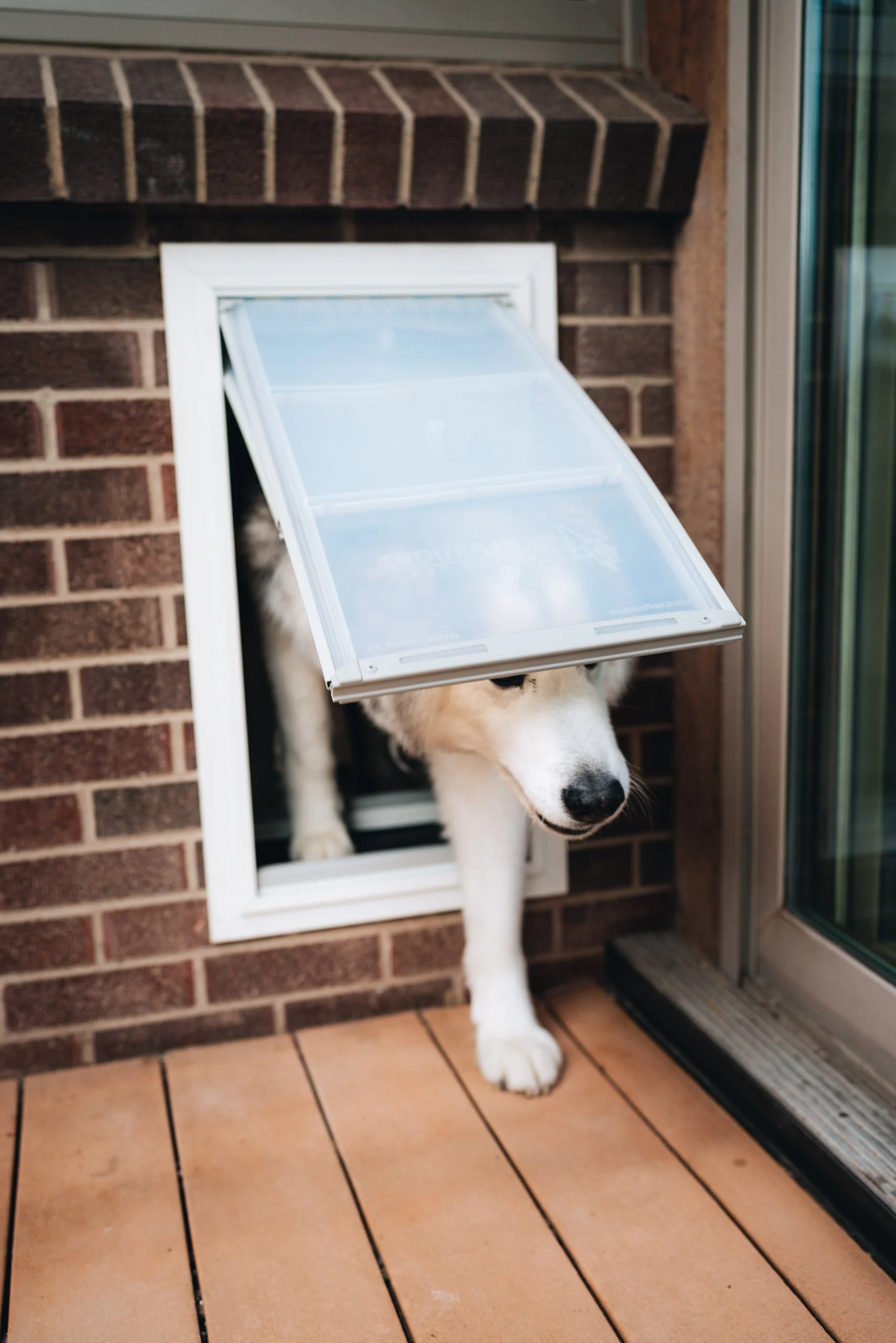 Endura Flap Pet Door for Thick Walls - Image 31