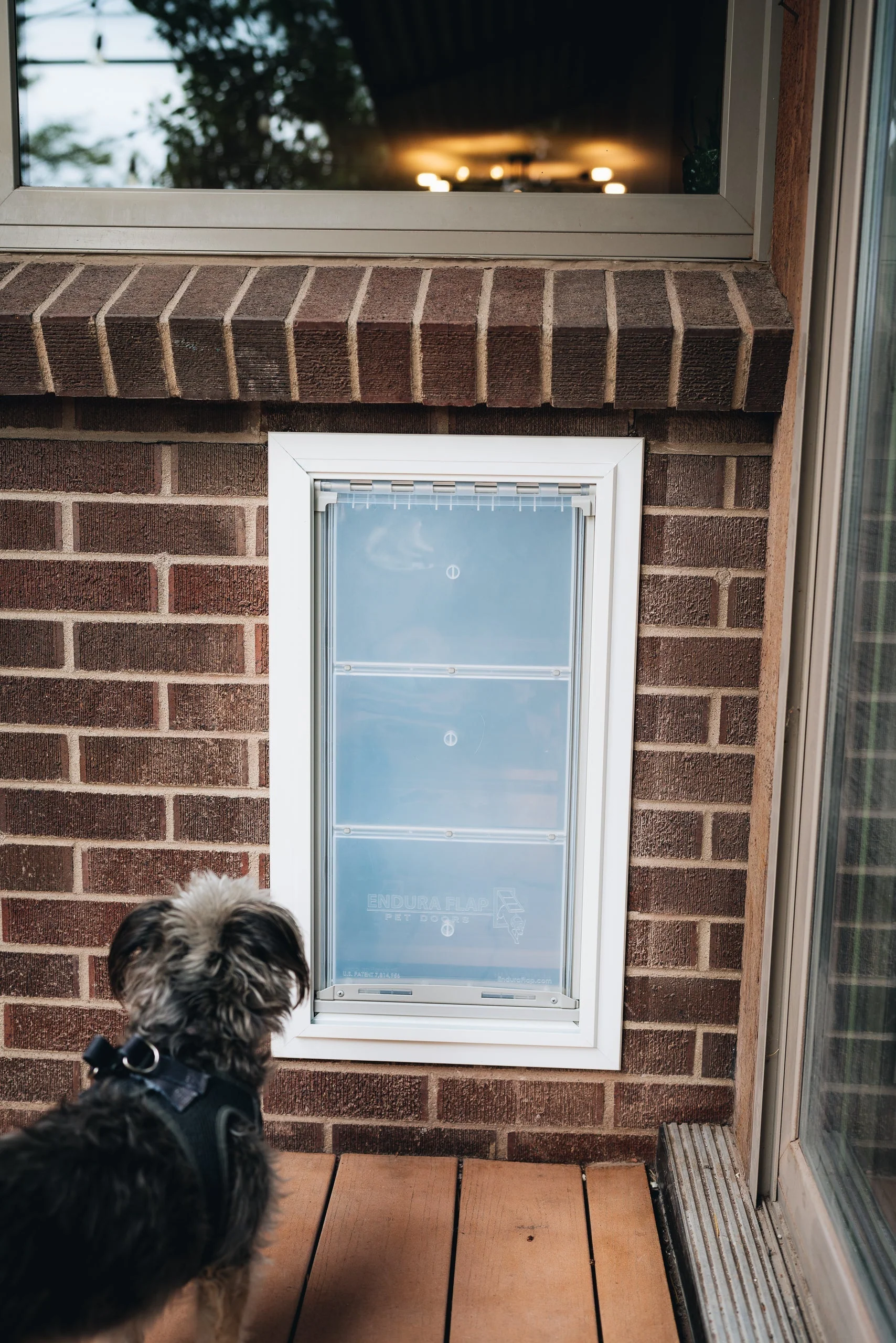 Endura Flap Pet Door for Thick Walls - Image 6