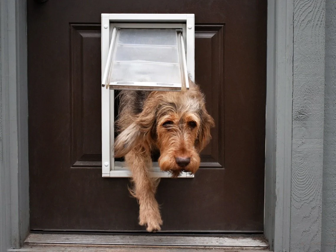 Endura Flap Single Flap Pet Door For Thin Doors - Image 6