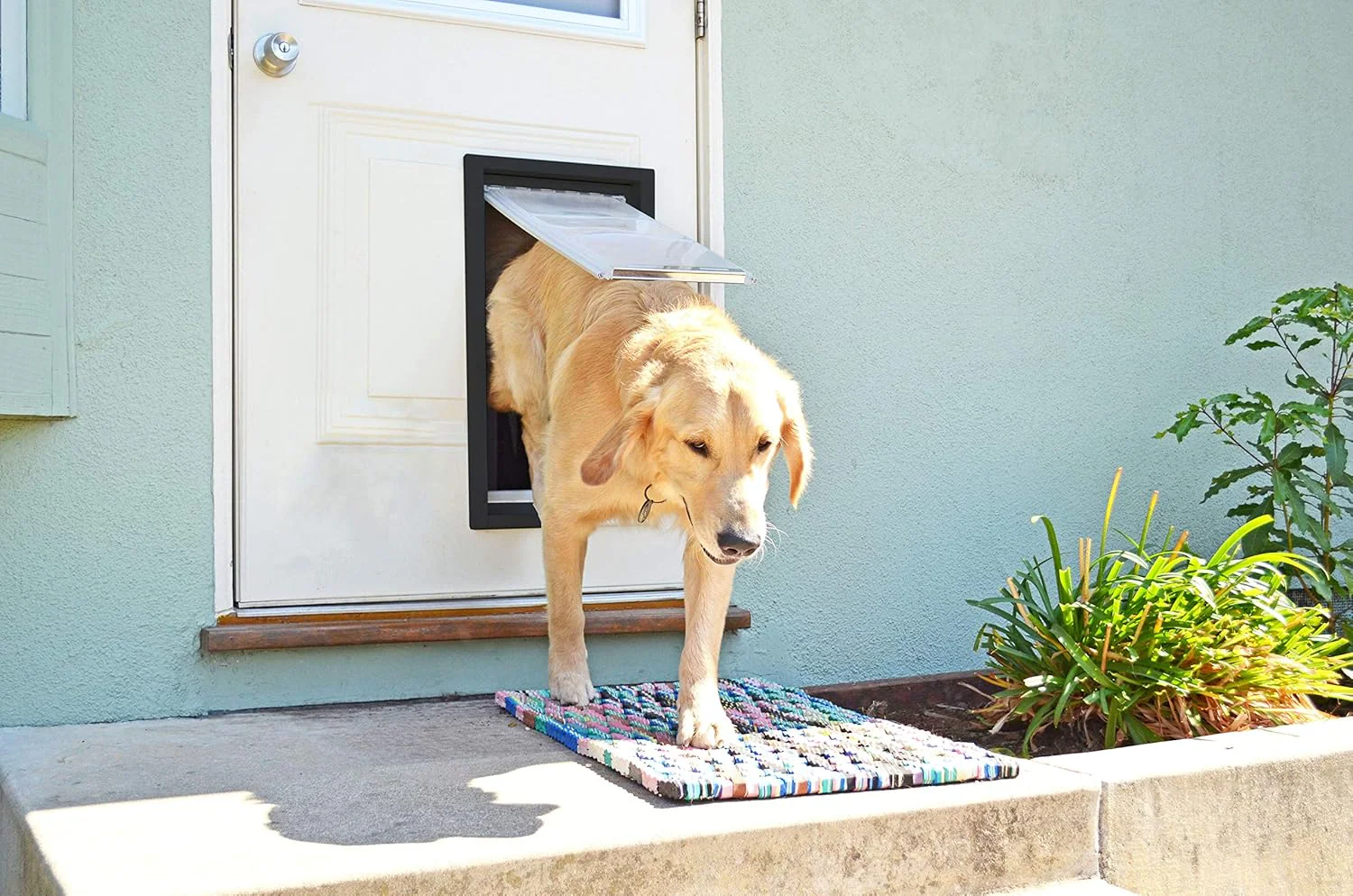 Endura Flap Single Flap Pet Door For Thin Doors - Image 7