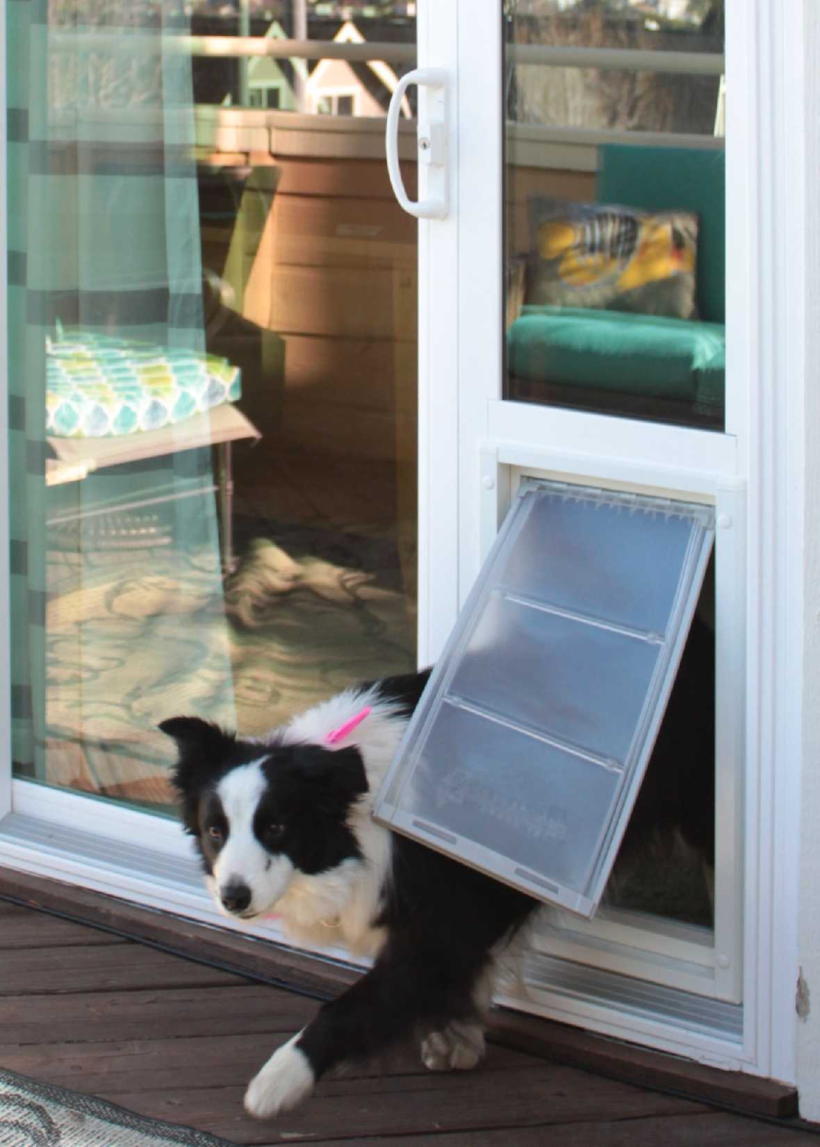 Endura Flap Vinyl Sliding Glass Dog Door - Image 16