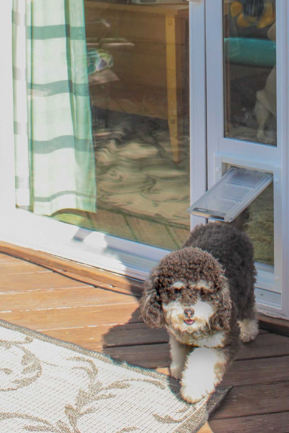 Endura Flap Vinyl Sliding Glass Dog Door - Image 17