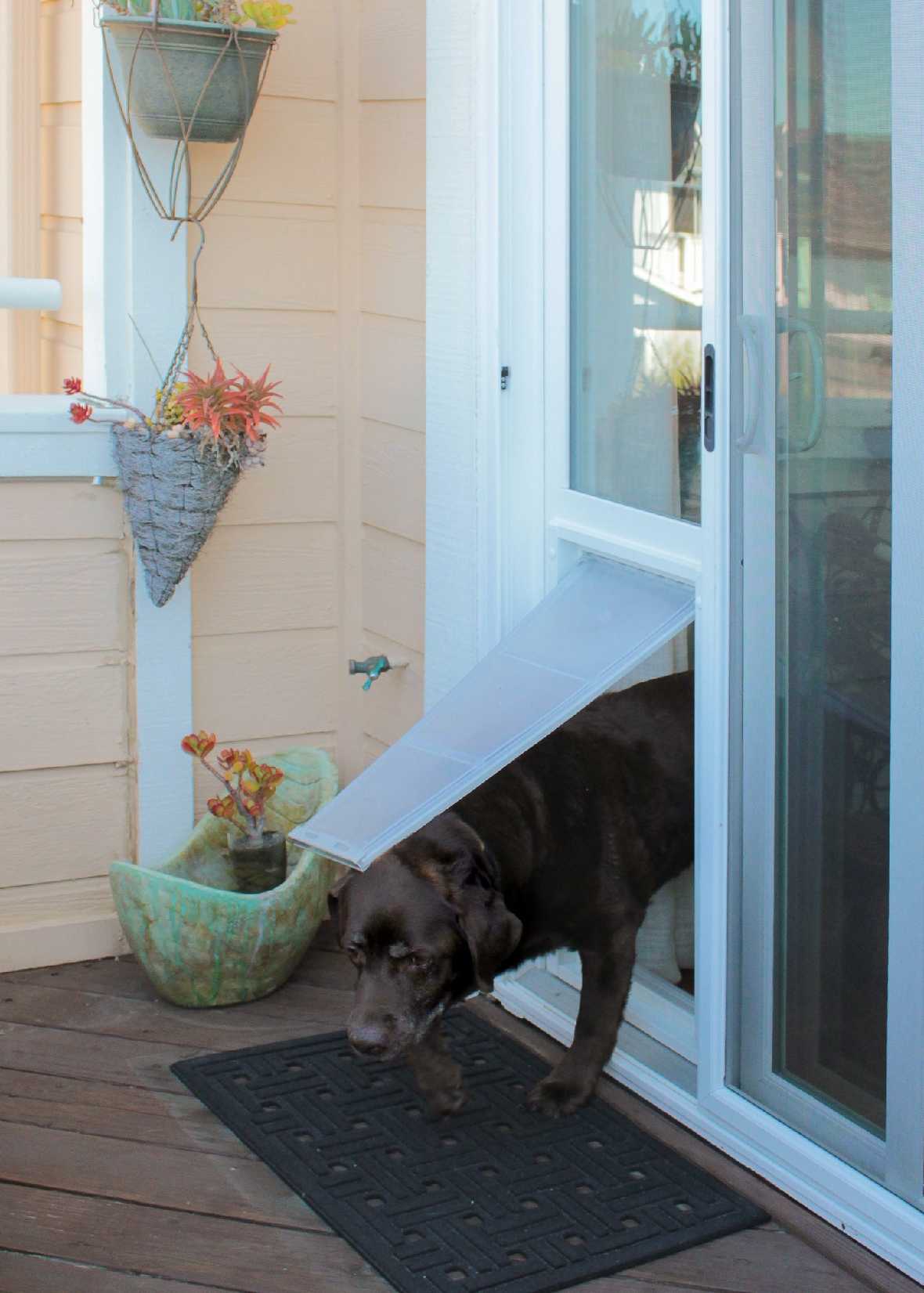 Endura Flap Vinyl Sliding Glass Dog Door - Image 18