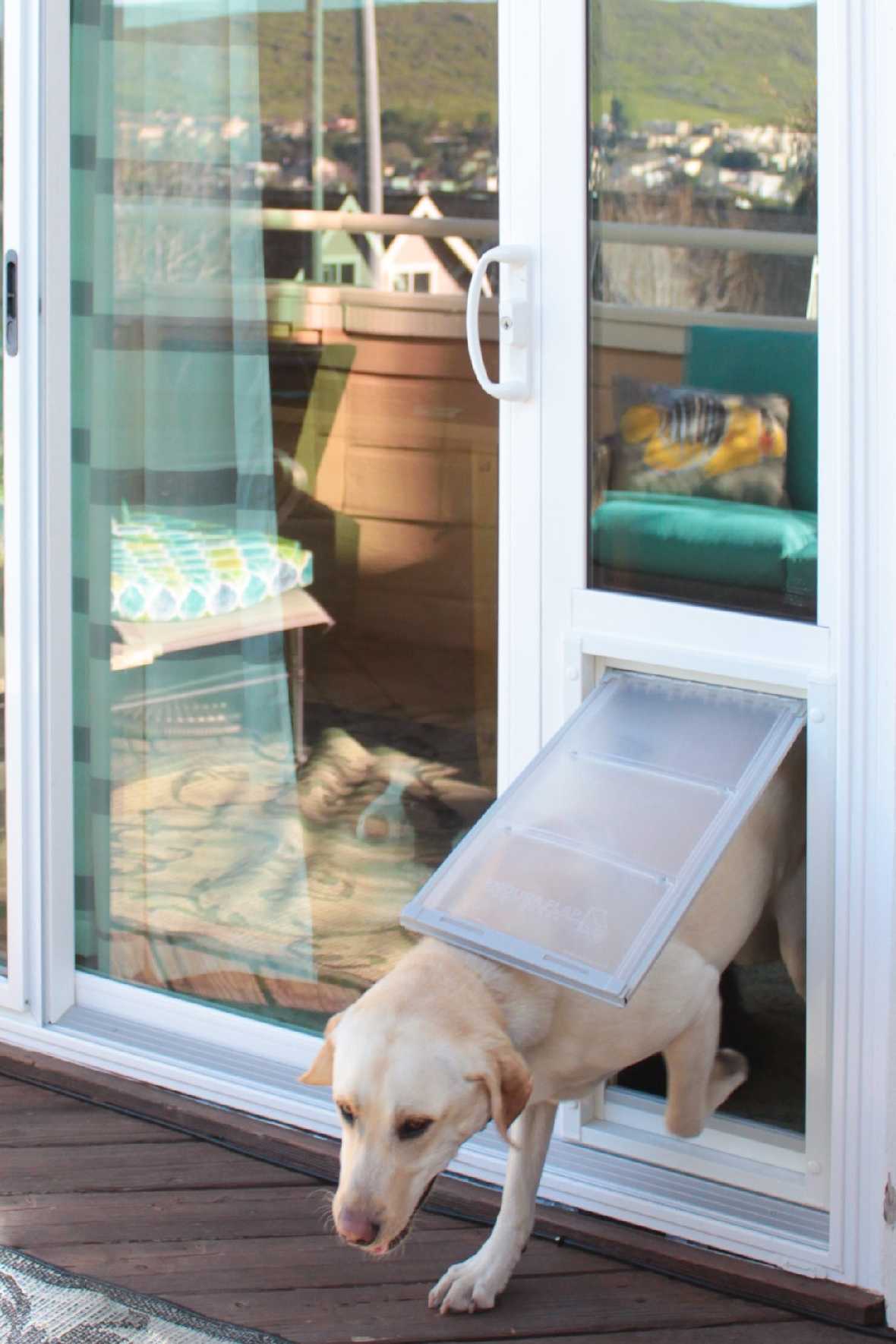 Endura Flap Vinyl Sliding Glass Dog Door - Image 19