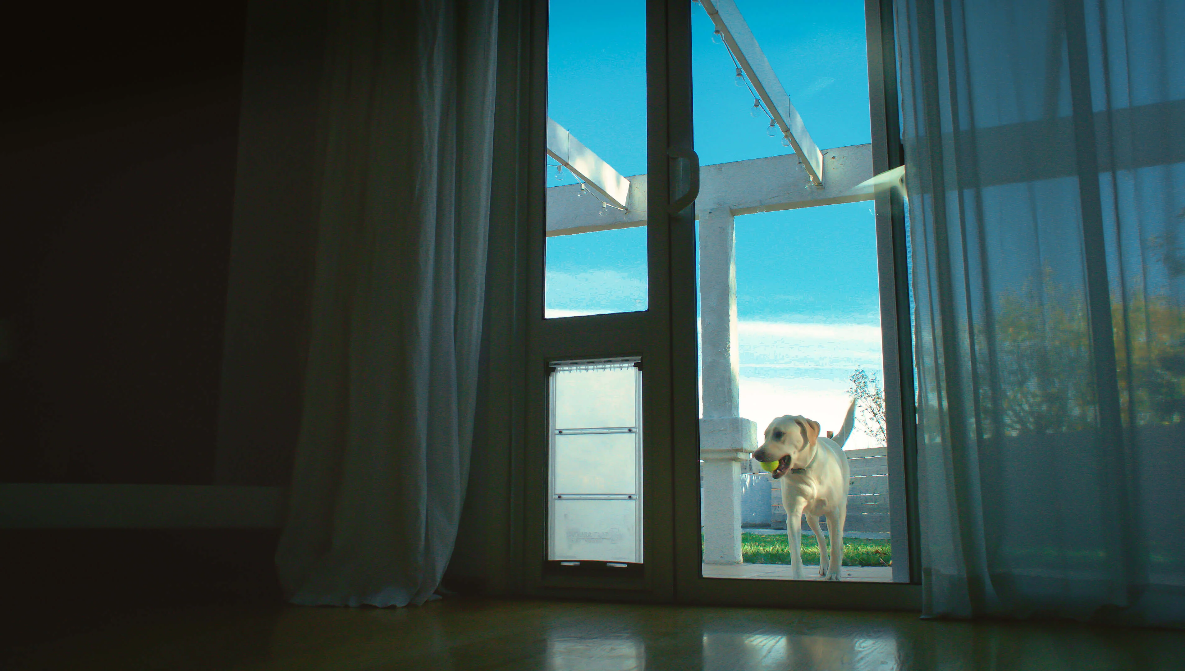 Endura Flap Vinyl Sliding Glass Dog Door - Image 6