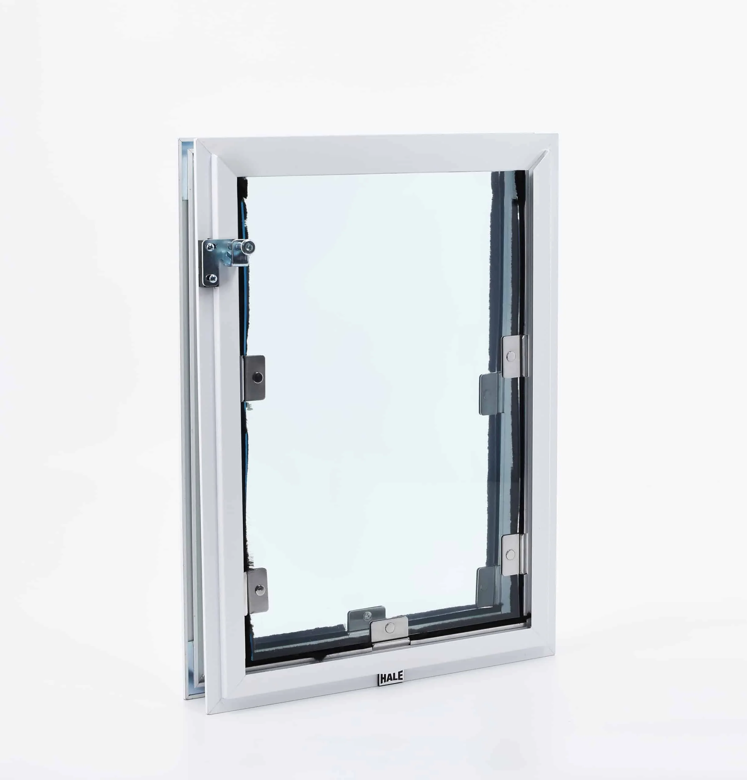Hale Custom Inside Frame Color Door and Wall Pet Doors - Image 4