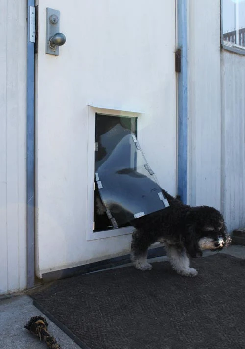 Hale Custom Dimension Pet Doors for Doors - Image 12