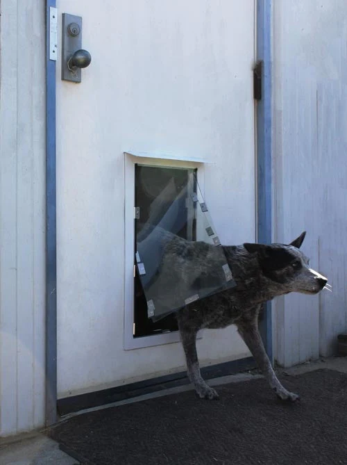 Hale Custom Dimension Pet Doors for Doors - Image 13