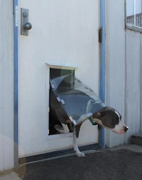 Hale Custom Dimension Pet Doors for Doors - Image 14