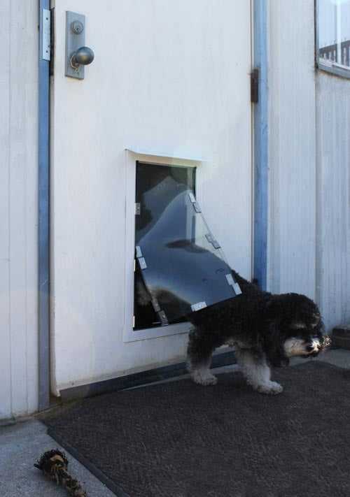Hale Pet Doors for Doors - Image 13
