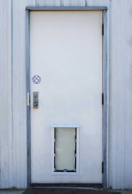 Hale Pet Doors for Doors - Image 34