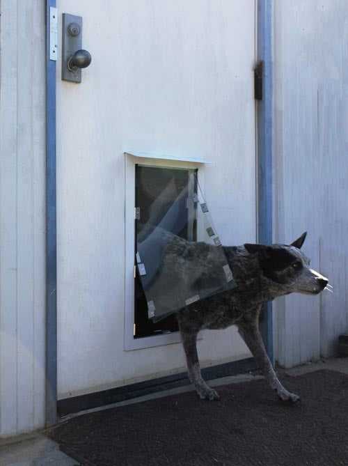 Hale Pet Doors for Doors - Image 35