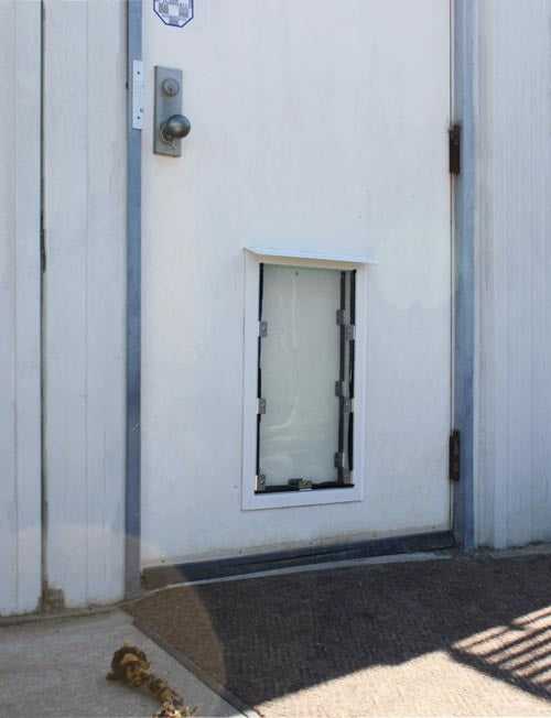 Hale Pet Doors for Doors - Image 36