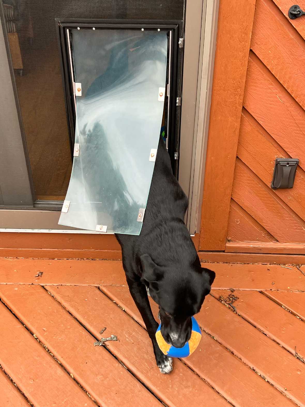 Hale Pet Door for Screens - Image 10
