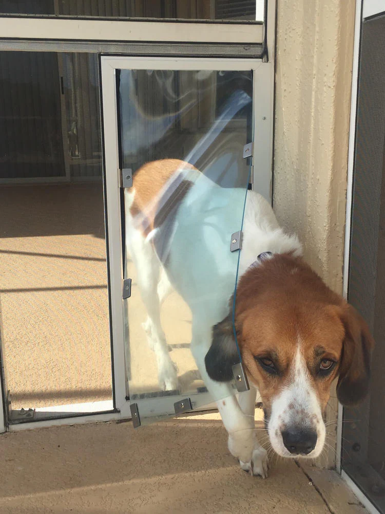 Hale Pet Door for Screens - Image 19