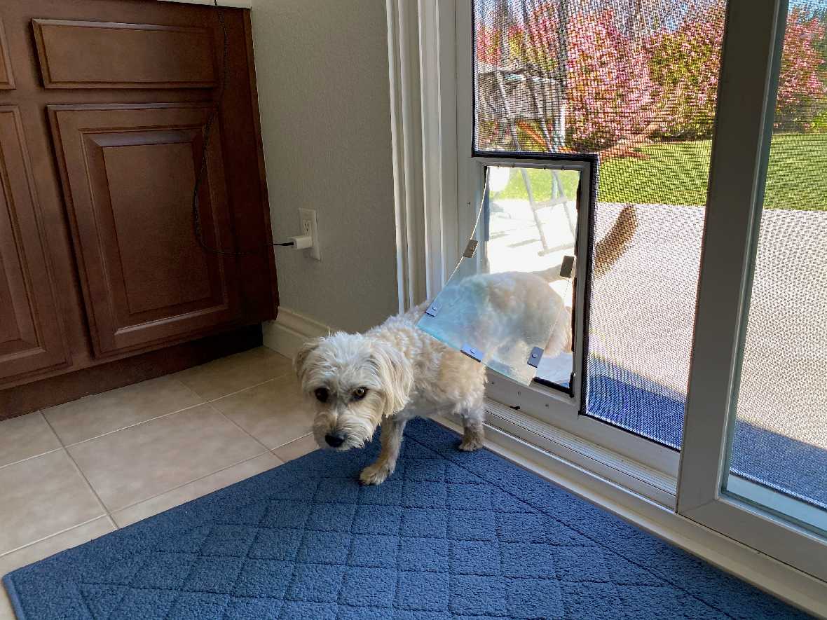 Hale Pet Door for Screens - Image 21