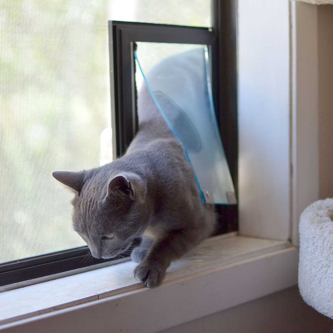 Hale Pet Door for Screens - Image 9