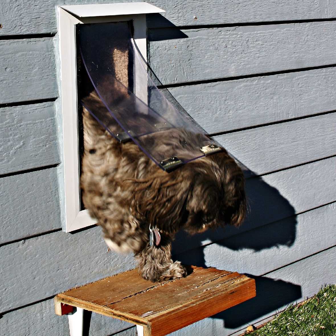 Hale Pet Doors for Thick Walls With Extra Long Tunnel - Image 8