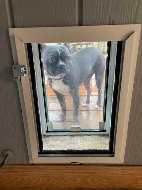 Hale Pet Doors for Walls - Image 33
