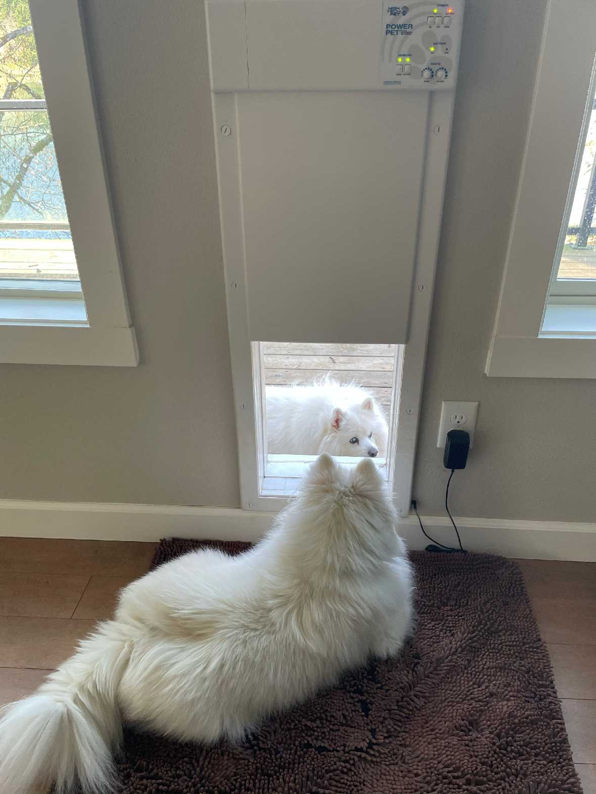 High Tech Power Pet Wall Mount Dog Door (Original and WiFi) - Image 6