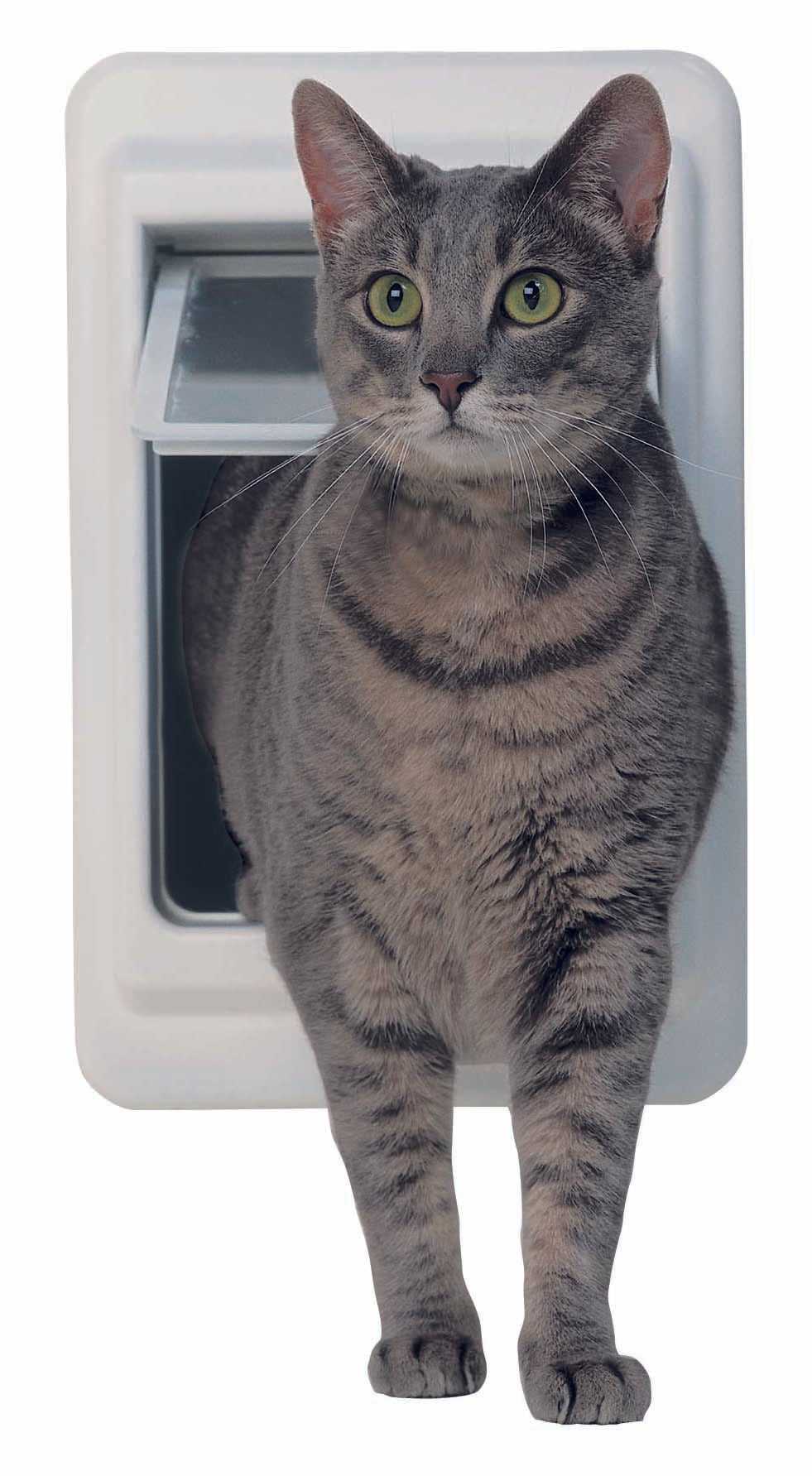 Ideal 4-Way Locking Cat Door - Image 3