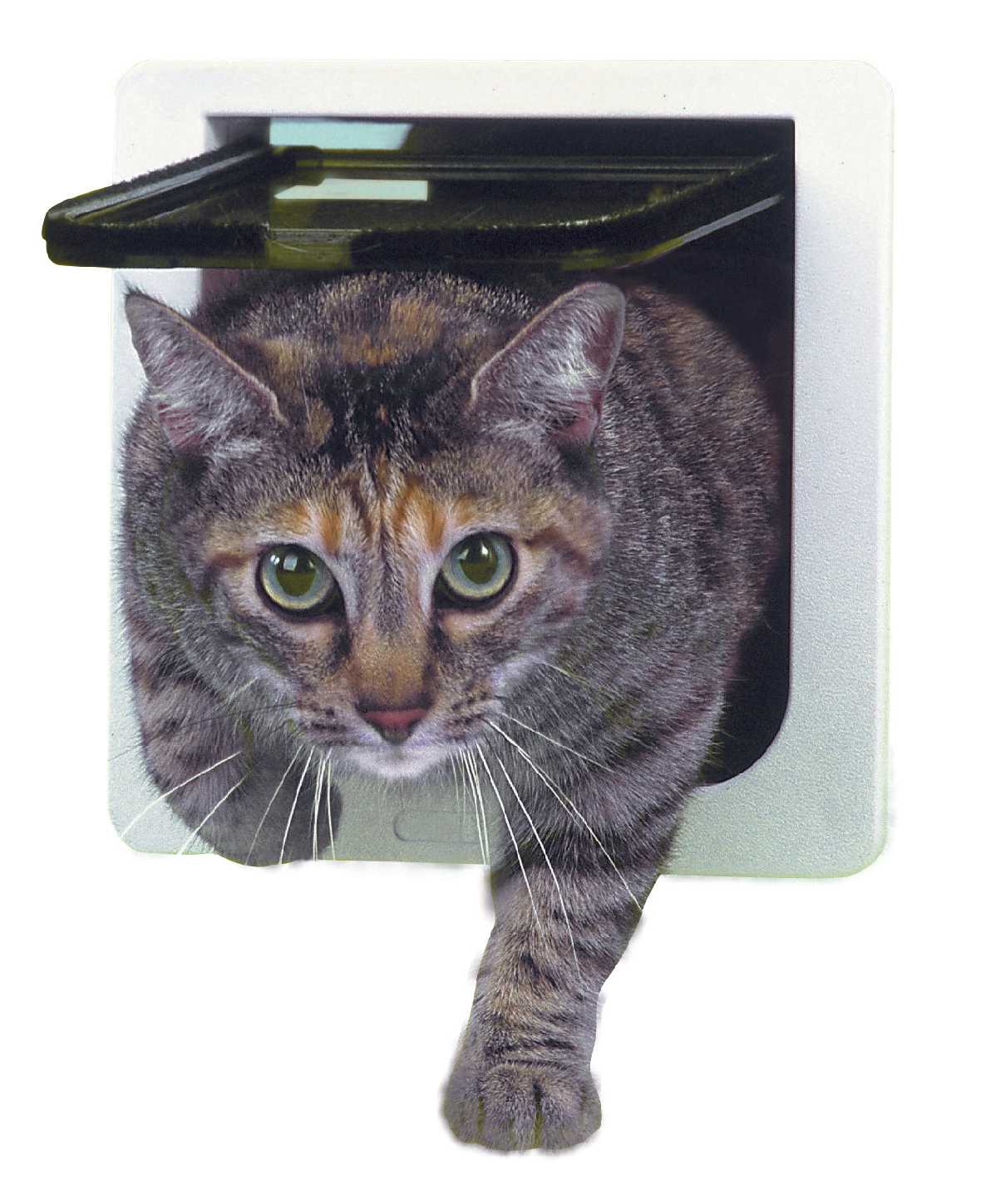 Ideal 4-Way Locking Cat Door - Image 4