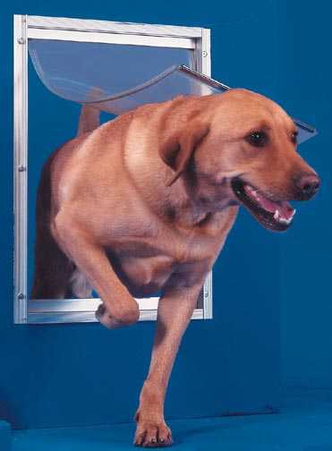 Ideal Deluxe Pet Door For Doors - Image 4