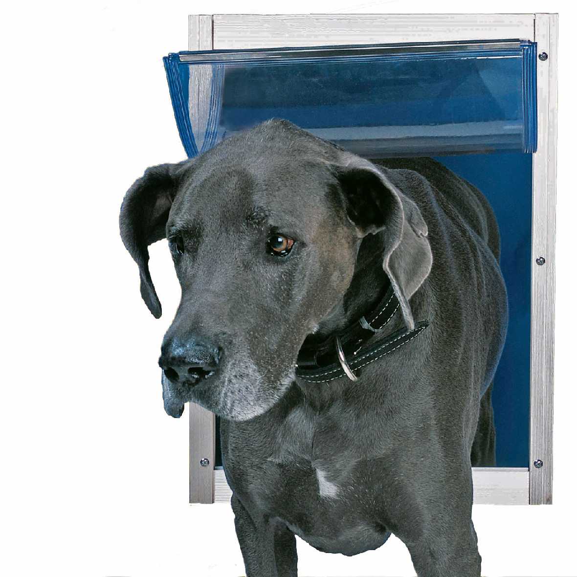 Ideal Deluxe Pet Door For Doors - Image 8