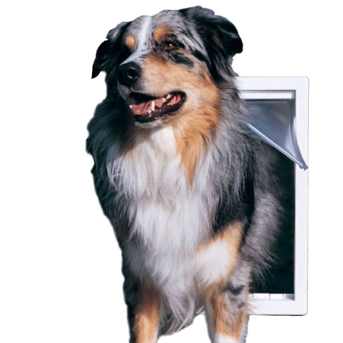 Ideal Designer Series Original Pet Doors - Image 10
