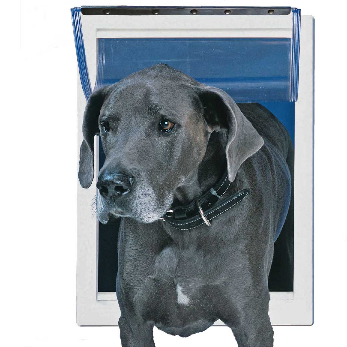 Ideal Designer Series Original Pet Doors - Image 12