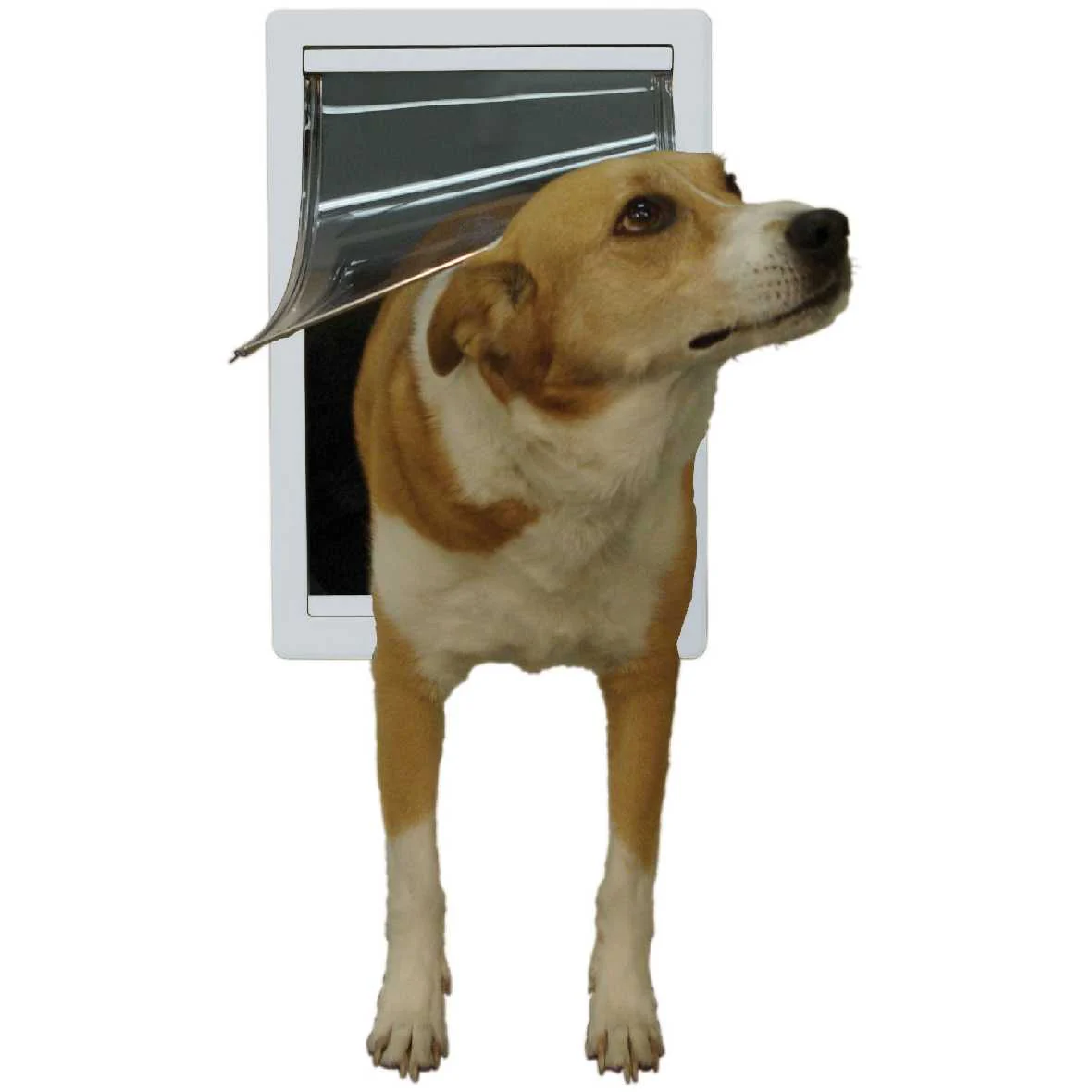 Ideal Designer Series Original Pet Doors - Image 17