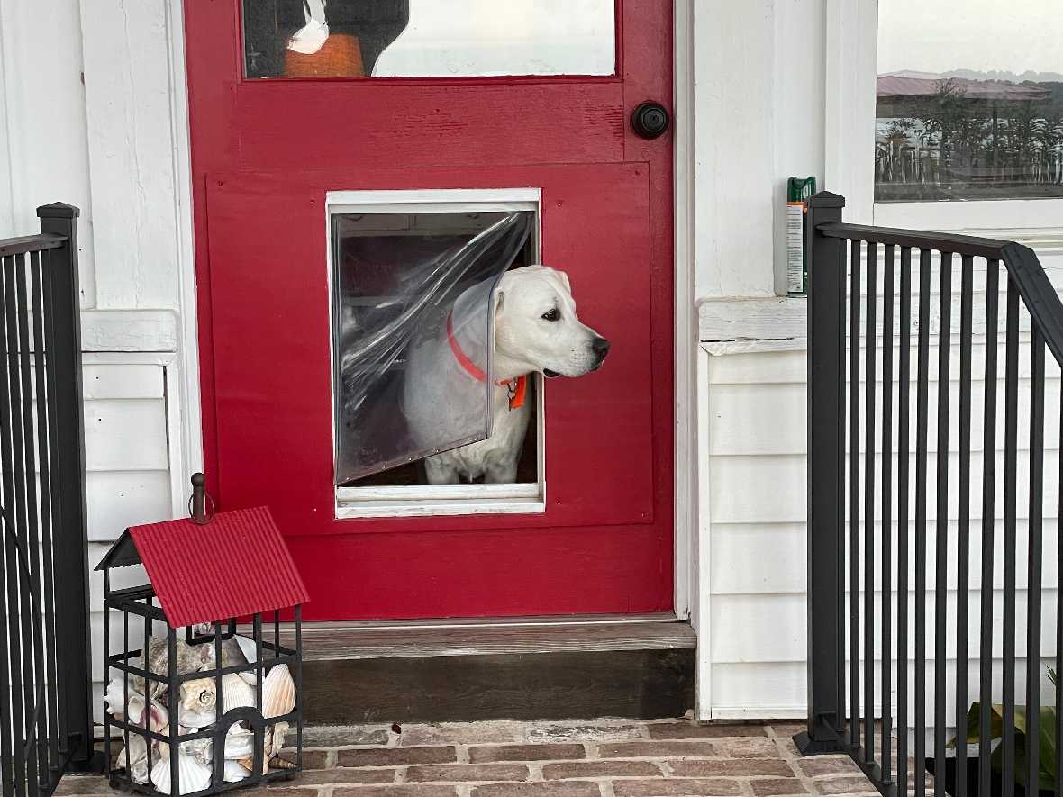 Ideal Designer Series Original Pet Doors - Image 8