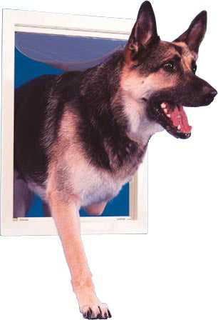 Ideal Designer Series Original Pet Doors - Image 9