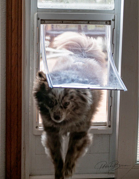 Ideal Fast Fit Patio Pet Door - Image 7