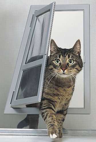Ideal Perfect Pet Passage for Screens - Image 3