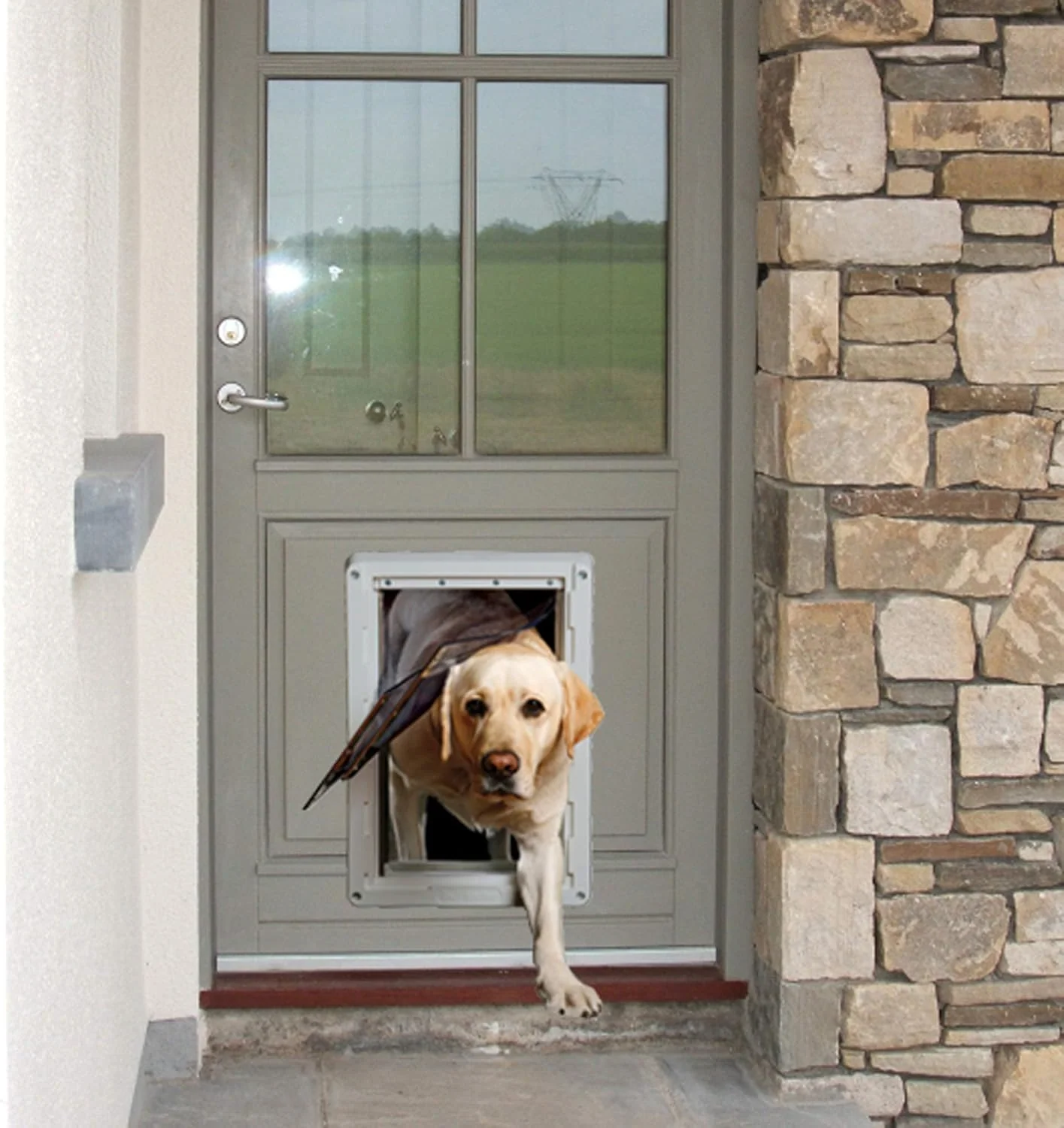 Ideal Designer Series Ruff Weather Dog Door for Walls - Image 12