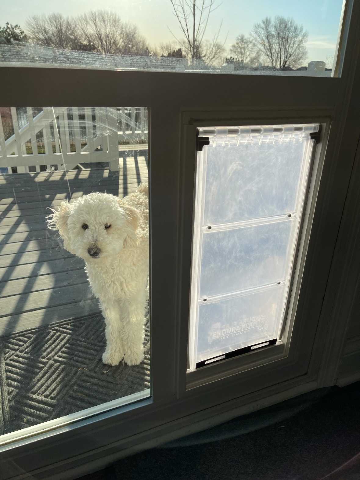 Pet Door Guys In The Glass Pet Door - Image 13