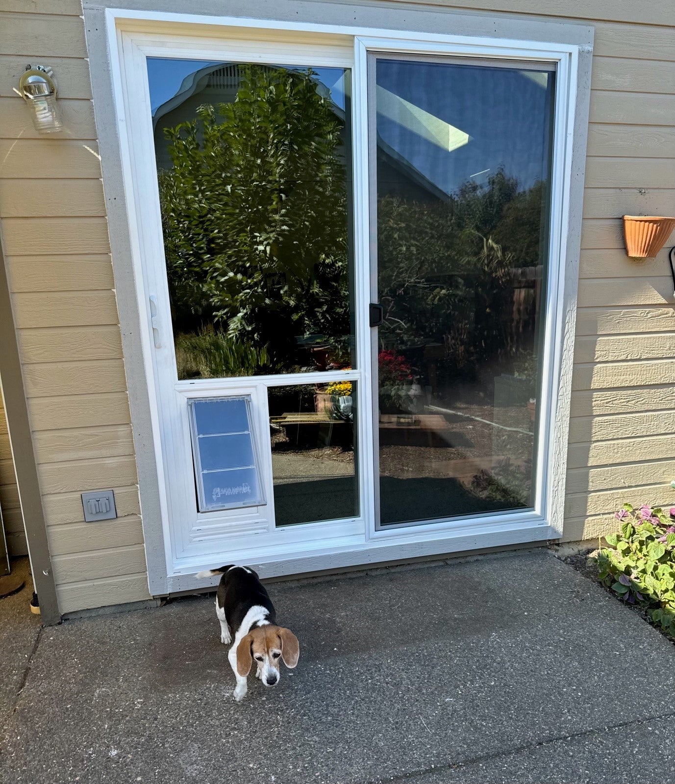 Pet Door Guys In The Glass Pet Door - Image 14