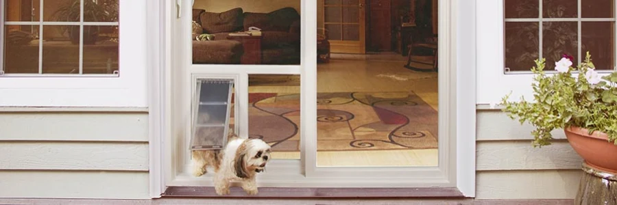 Pet Door Guys In The Glass Pet Door - Image 18