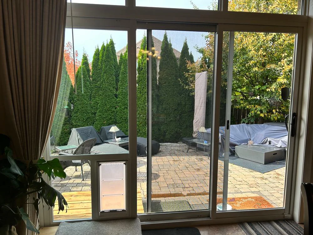 Pet Door Products In The Glass Pet Door - Image 13